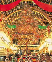 サッポロファクトリーアトリウム内に設置される、16mのジャンボクリスマスツリーは、屋内日本最大級。札幌の冬の風物詩となっています