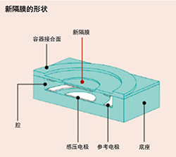 新隔膜的形状