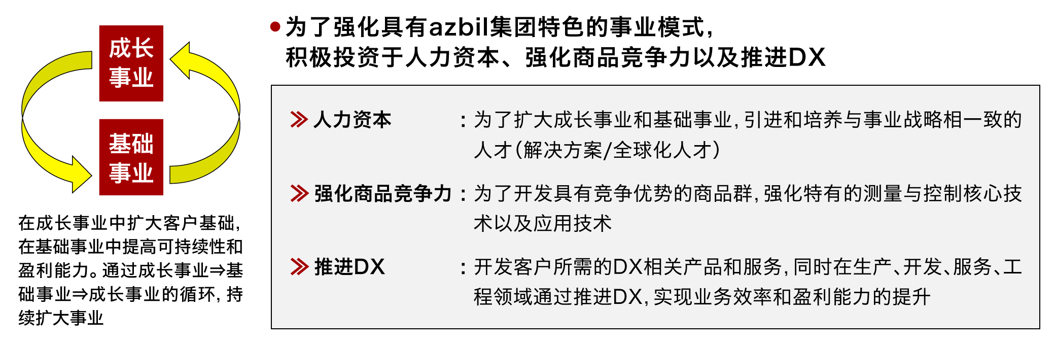 为强化事业模式进行的投资