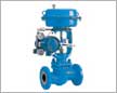 Various types of control valve 