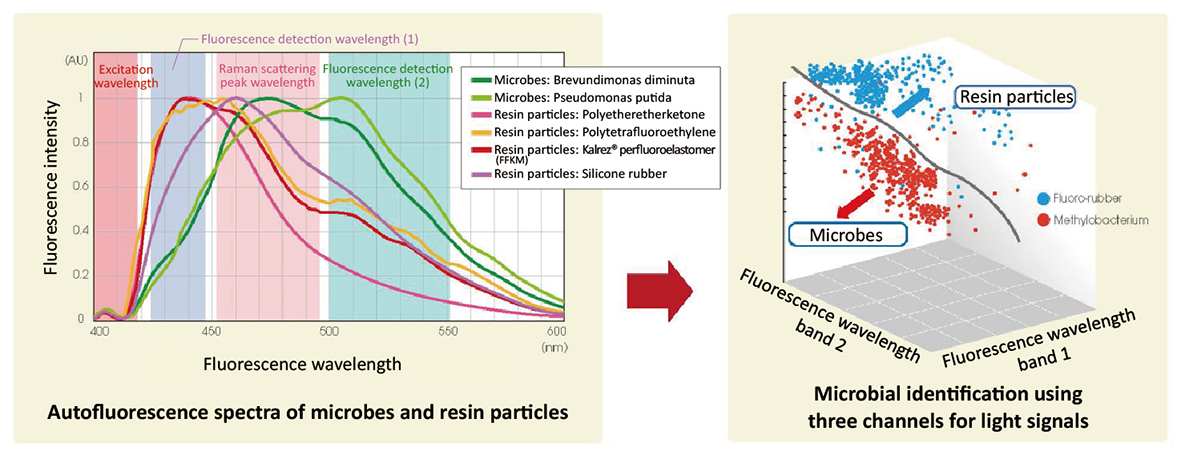 Fig. 3. Difference between microbes and resin particles in fluorescence reaction (left). Conceptual diagram of three-channel signal mapping for identifying microbes (right)
