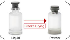 Figure 1. Freeze drying is used to turn liquid into powder.