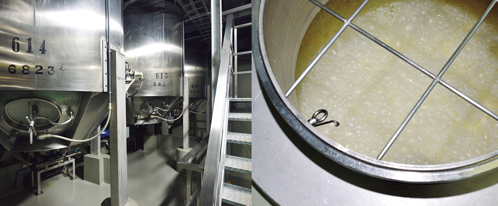 完成した麹と水を発酵タンクに入れ、発酵させて日本酒を造る。
