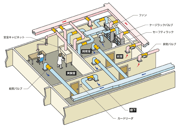 良好な飼育環境 - 飼育室の室圧制御のイメージ図