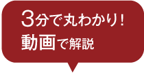 動画で解説