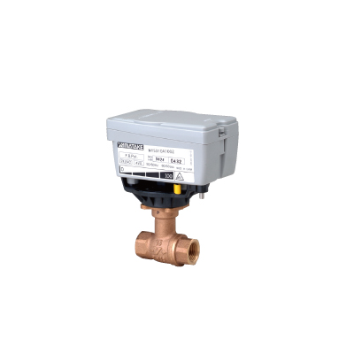 ACTIVAL™ Motorized Two-way Ball Valve with Threaded-end Connection
