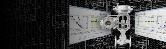 Product photo : Control valve maintenance