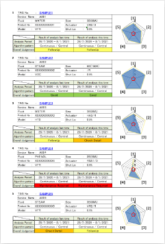 Summary report