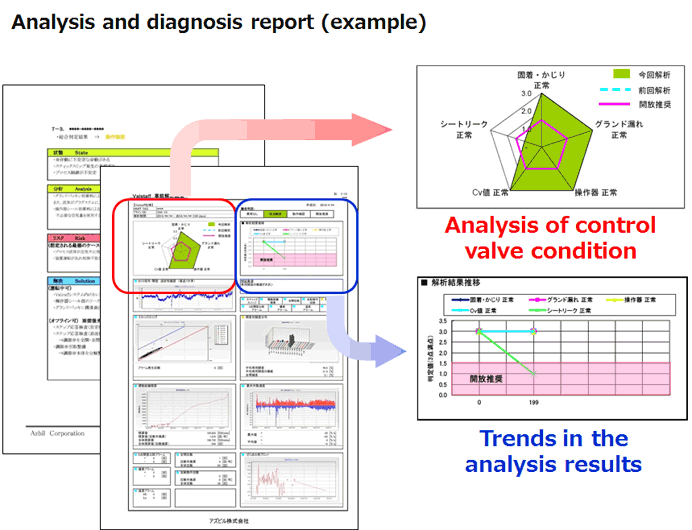 Analysis and diagnosis report (example)