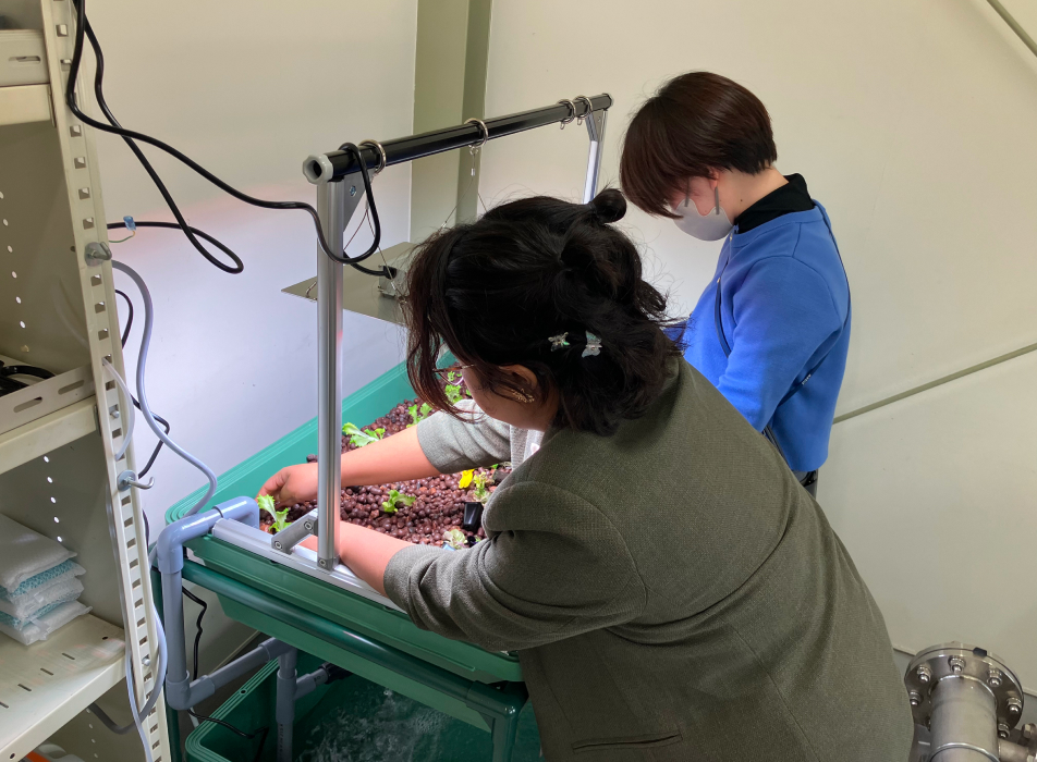 The start of experiments on a circular agriculture system utilizing Azbil’s measurement and control technology