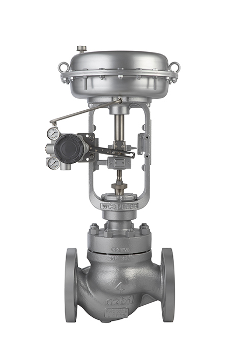 6000 Series control valve